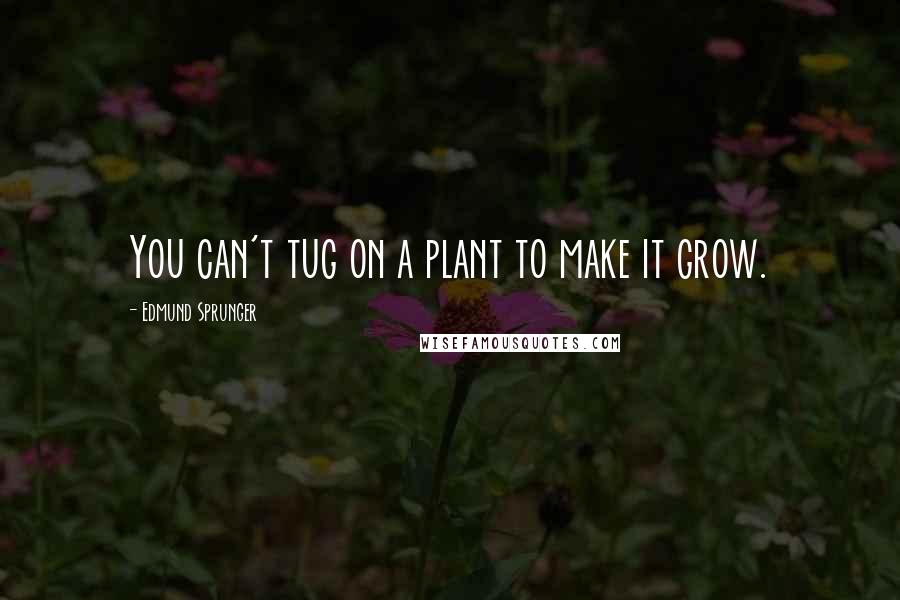 Edmund Sprunger Quotes: You can't tug on a plant to make it grow.