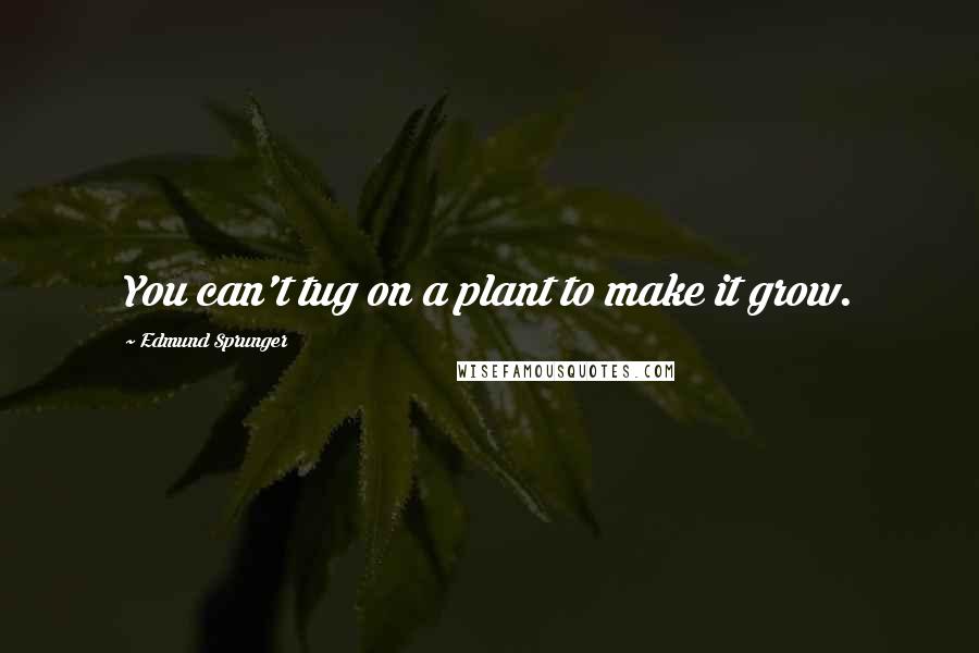 Edmund Sprunger Quotes: You can't tug on a plant to make it grow.