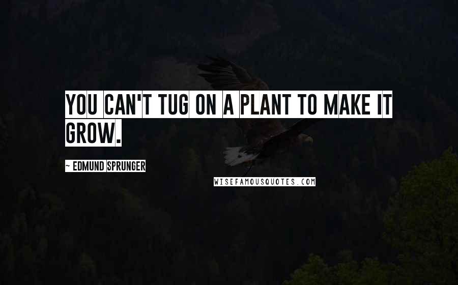 Edmund Sprunger Quotes: You can't tug on a plant to make it grow.
