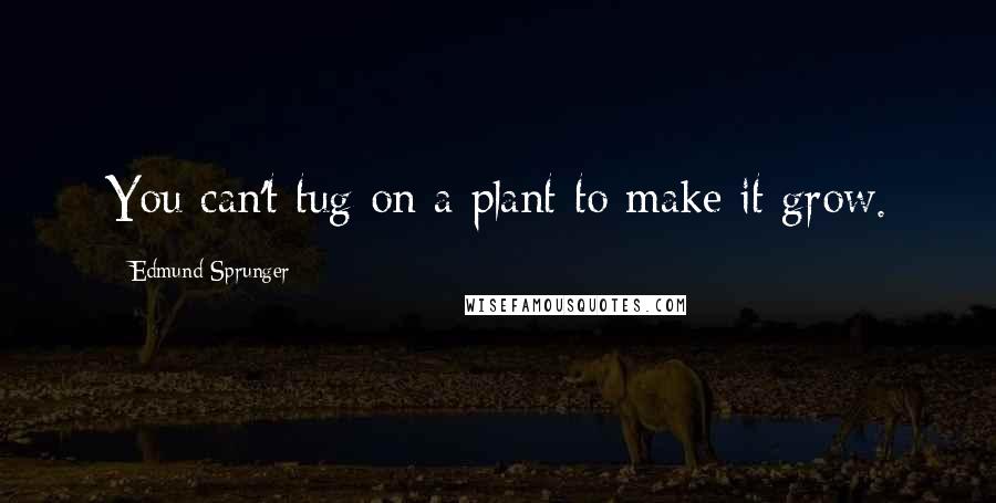 Edmund Sprunger Quotes: You can't tug on a plant to make it grow.