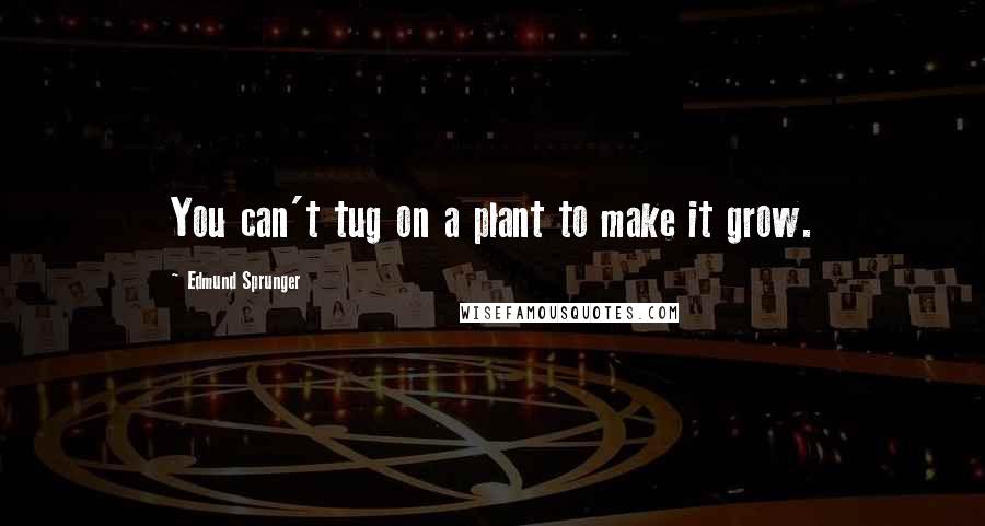 Edmund Sprunger Quotes: You can't tug on a plant to make it grow.