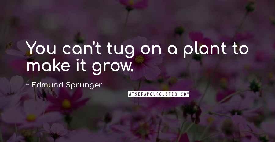 Edmund Sprunger Quotes: You can't tug on a plant to make it grow.