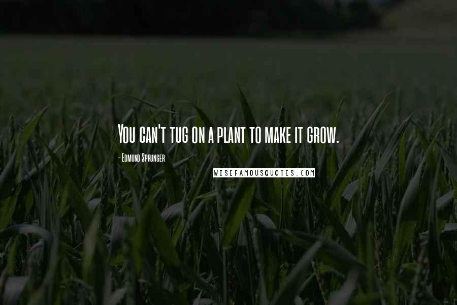 Edmund Sprunger Quotes: You can't tug on a plant to make it grow.