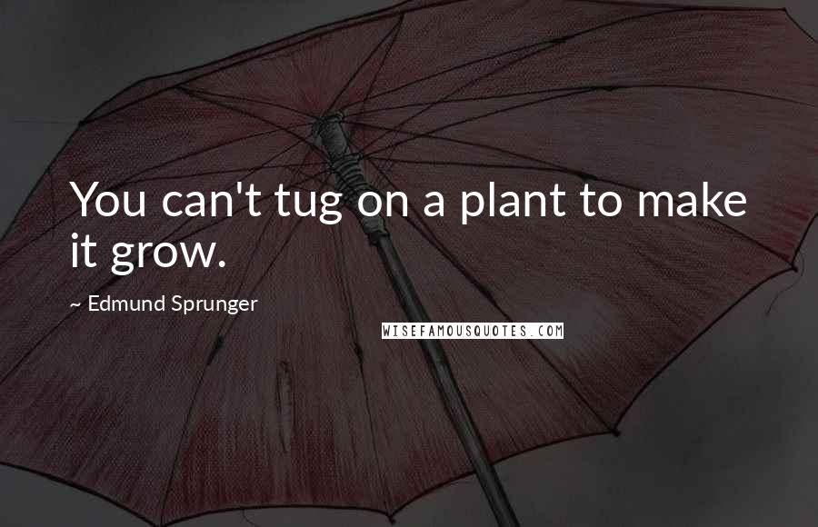 Edmund Sprunger Quotes: You can't tug on a plant to make it grow.