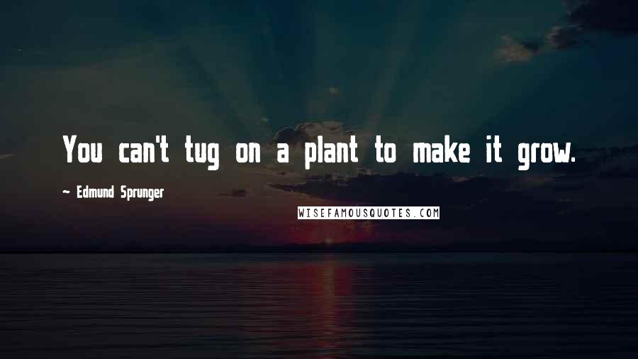 Edmund Sprunger Quotes: You can't tug on a plant to make it grow.