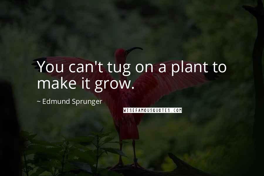 Edmund Sprunger Quotes: You can't tug on a plant to make it grow.