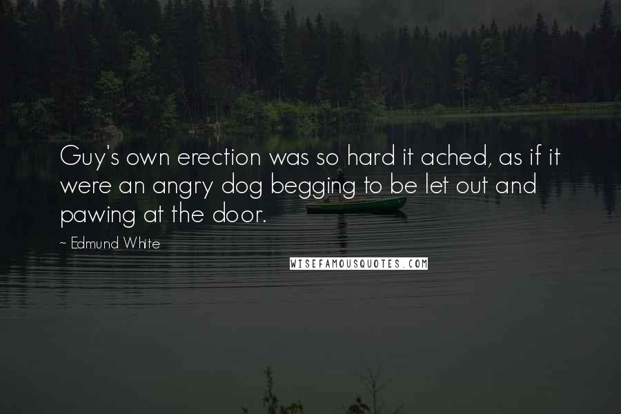 Edmund White Quotes: Guy's own erection was so hard it ached, as if it were an angry dog begging to be let out and pawing at the door.