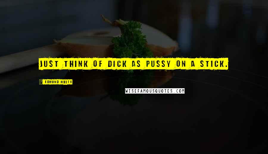 Edmund White Quotes: Just think of dick as pussy on a stick.