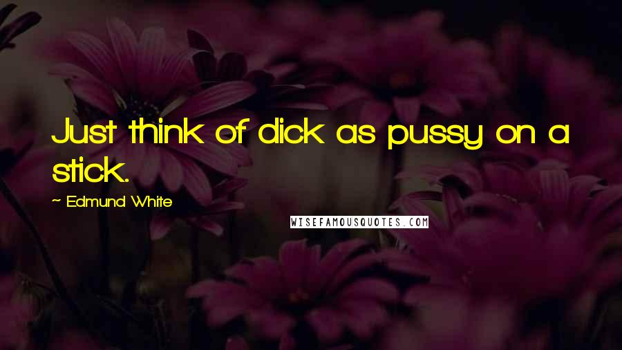 Edmund White Quotes: Just think of dick as pussy on a stick.