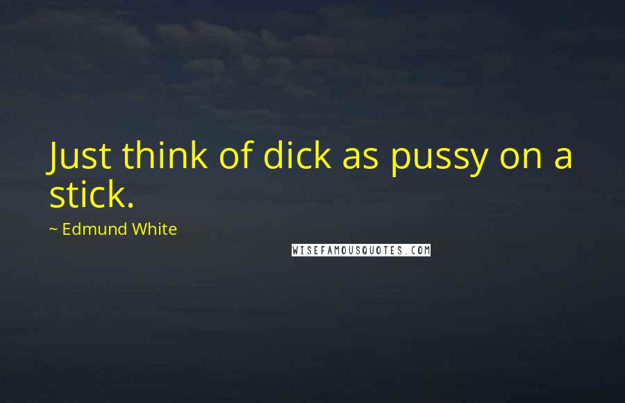 Edmund White Quotes: Just think of dick as pussy on a stick.