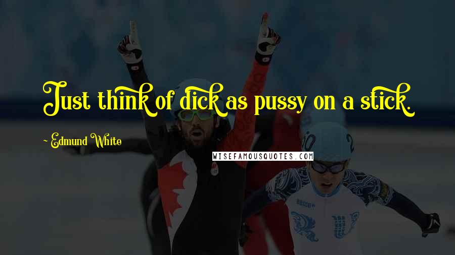 Edmund White Quotes: Just think of dick as pussy on a stick.