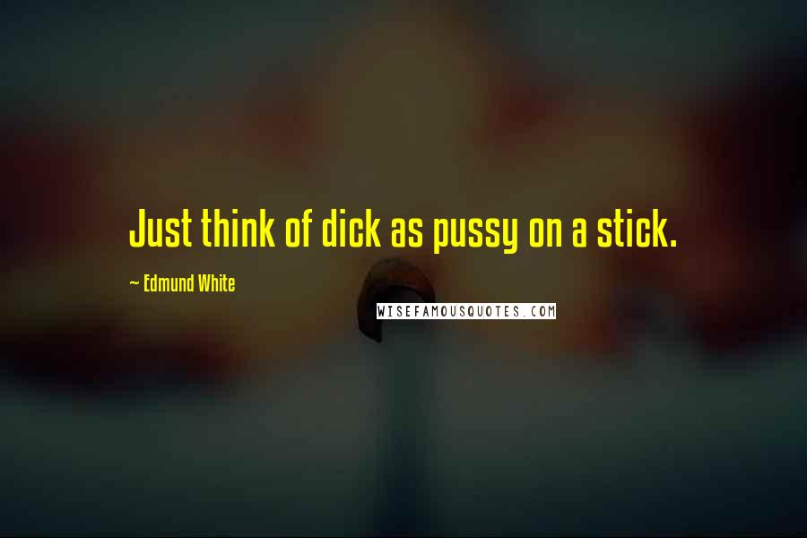 Edmund White Quotes: Just think of dick as pussy on a stick.