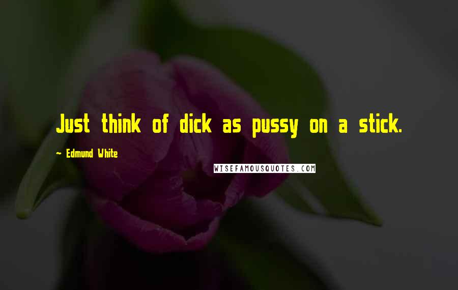 Edmund White Quotes: Just think of dick as pussy on a stick.