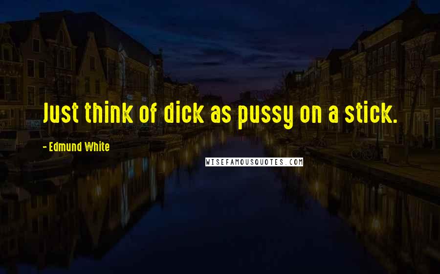 Edmund White Quotes: Just think of dick as pussy on a stick.