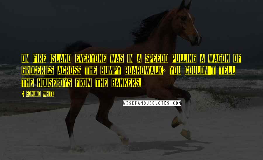 Edmund White Quotes: On Fire Island everyone was in a Speedo pulling a wagon of groceries across the bumpy boardwalk; you couldn't tell the houseboys from the bankers.