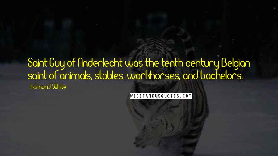 Edmund White Quotes: Saint Guy of Anderlecht was the tenth-century Belgian saint of animals, stables, workhorses, and bachelors.