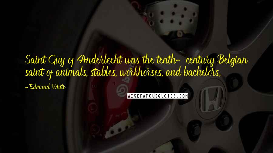 Edmund White Quotes: Saint Guy of Anderlecht was the tenth-century Belgian saint of animals, stables, workhorses, and bachelors.