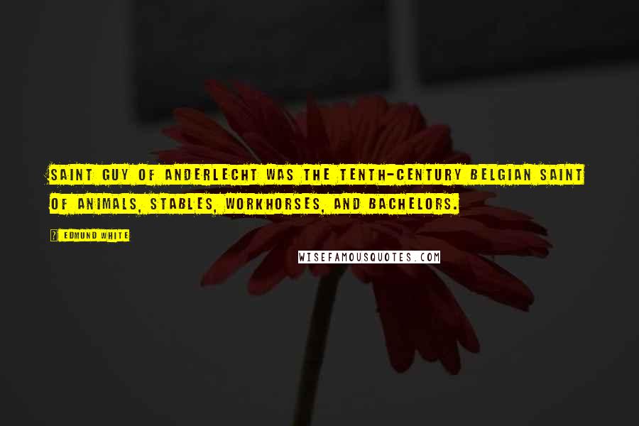 Edmund White Quotes: Saint Guy of Anderlecht was the tenth-century Belgian saint of animals, stables, workhorses, and bachelors.