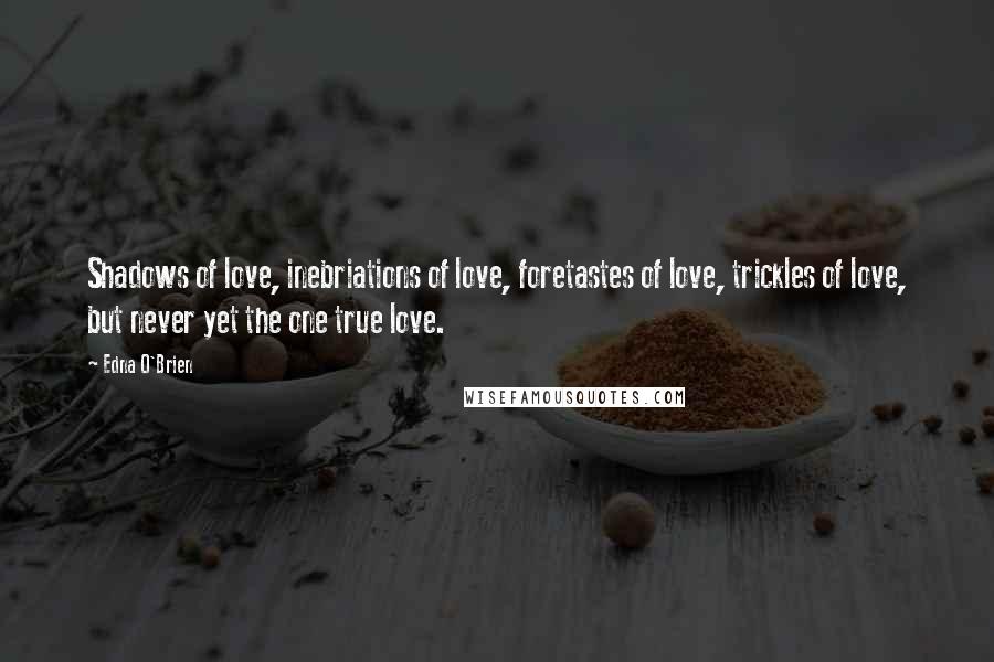 Edna O'Brien Quotes: Shadows of love, inebriations of love, foretastes of love, trickles of love, but never yet the one true love.
