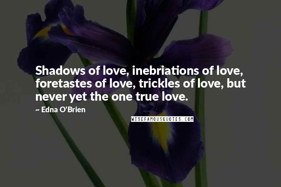 Edna O'Brien Quotes: Shadows of love, inebriations of love, foretastes of love, trickles of love, but never yet the one true love.