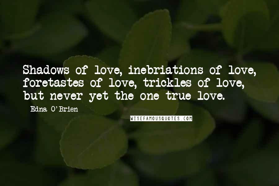 Edna O'Brien Quotes: Shadows of love, inebriations of love, foretastes of love, trickles of love, but never yet the one true love.