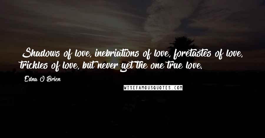 Edna O'Brien Quotes: Shadows of love, inebriations of love, foretastes of love, trickles of love, but never yet the one true love.