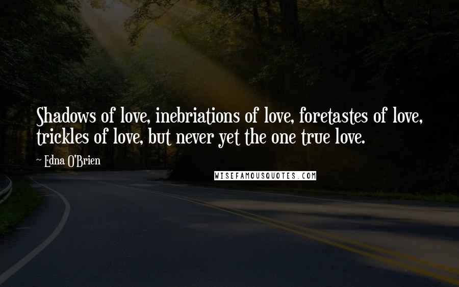 Edna O'Brien Quotes: Shadows of love, inebriations of love, foretastes of love, trickles of love, but never yet the one true love.