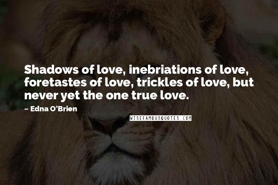 Edna O'Brien Quotes: Shadows of love, inebriations of love, foretastes of love, trickles of love, but never yet the one true love.