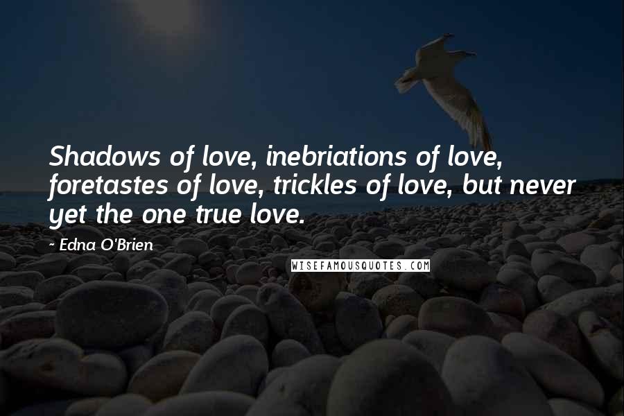 Edna O'Brien Quotes: Shadows of love, inebriations of love, foretastes of love, trickles of love, but never yet the one true love.