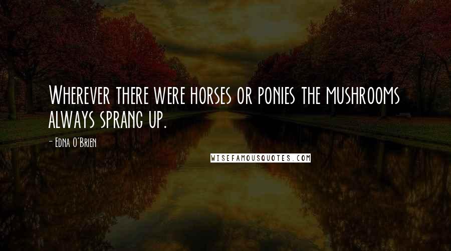 Edna O'Brien Quotes: Wherever there were horses or ponies the mushrooms always sprang up.