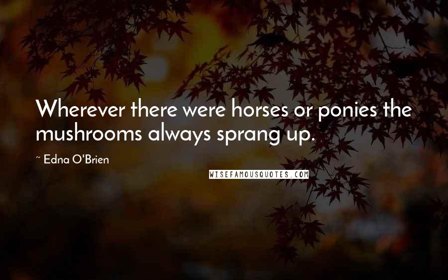 Edna O'Brien Quotes: Wherever there were horses or ponies the mushrooms always sprang up.