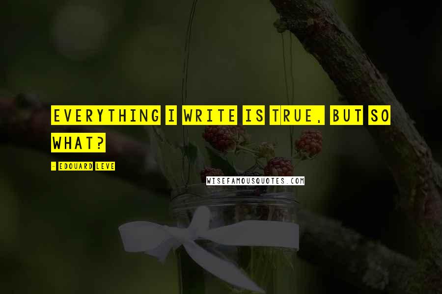 Edouard Leve Quotes: Everything I Write is True, But So What?