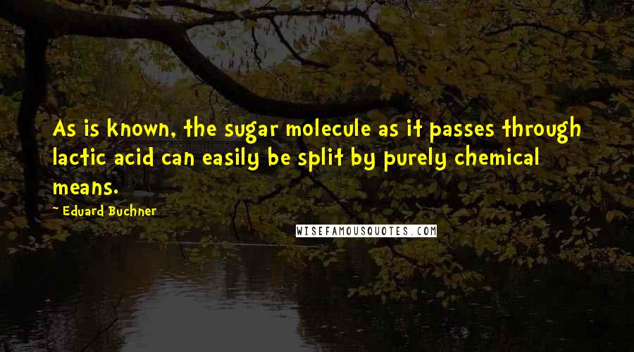 Eduard Buchner Quotes: As is known, the sugar molecule as it passes through lactic acid can easily be split by purely chemical means.