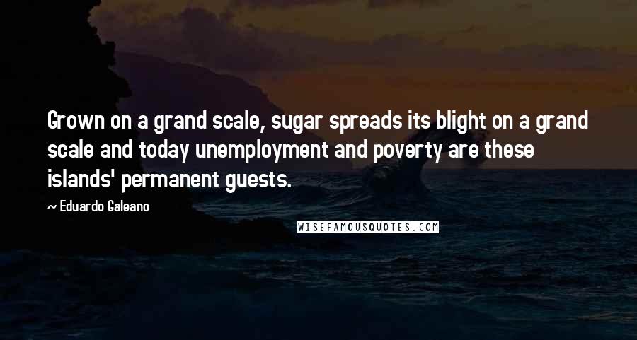 Eduardo Galeano Quotes: Grown on a grand scale, sugar spreads its blight on a grand scale and today unemployment and poverty are these islands' permanent guests.