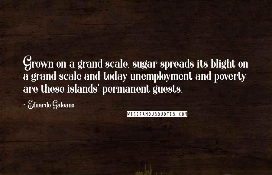 Eduardo Galeano Quotes: Grown on a grand scale, sugar spreads its blight on a grand scale and today unemployment and poverty are these islands' permanent guests.