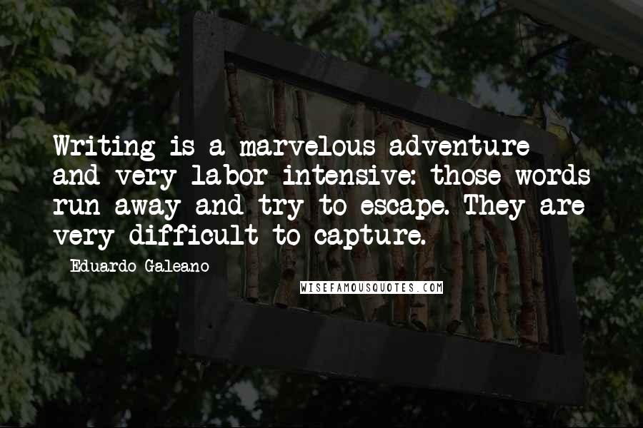 Eduardo Galeano Quotes: Writing is a marvelous adventure and very labor-intensive: those words run away and try to escape. They are very difficult to capture.