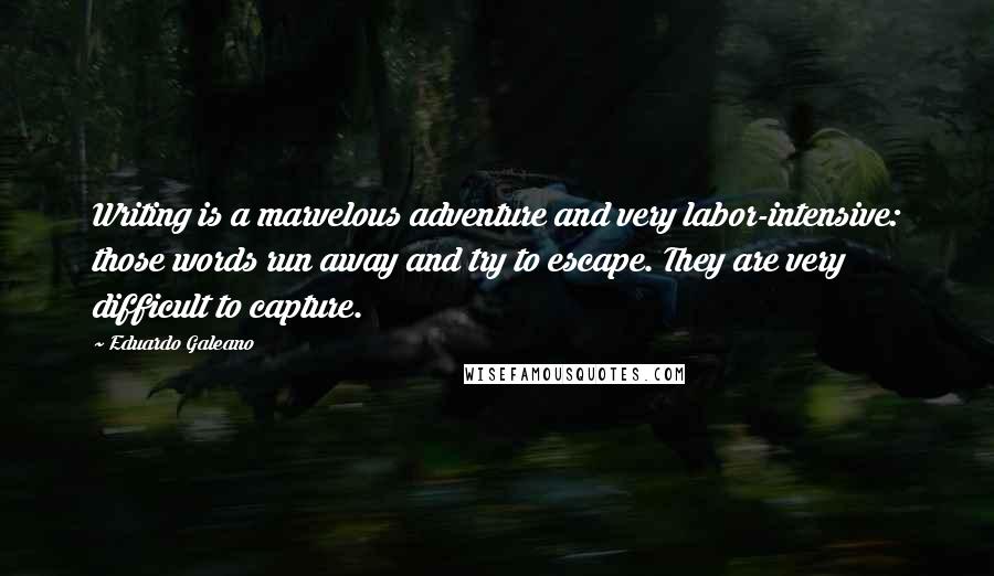 Eduardo Galeano Quotes: Writing is a marvelous adventure and very labor-intensive: those words run away and try to escape. They are very difficult to capture.