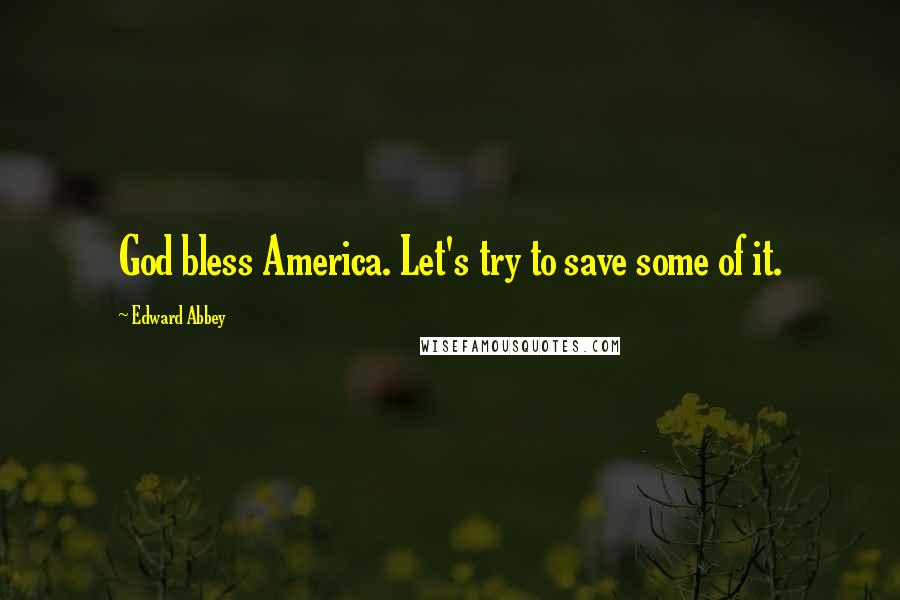 Edward Abbey Quotes: God bless America. Let's try to save some of it.