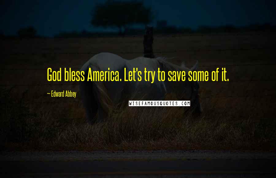 Edward Abbey Quotes: God bless America. Let's try to save some of it.