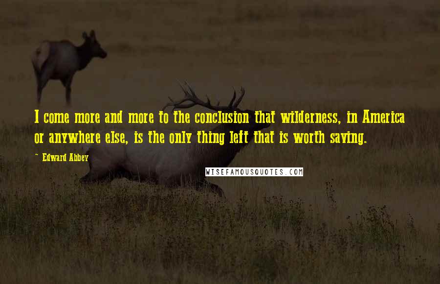 Edward Abbey Quotes: I come more and more to the conclusion that wilderness, in America or anywhere else, is the only thing left that is worth saving.