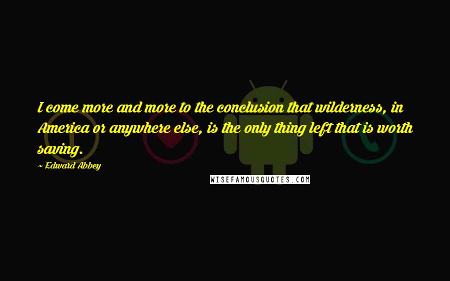 Edward Abbey Quotes: I come more and more to the conclusion that wilderness, in America or anywhere else, is the only thing left that is worth saving.