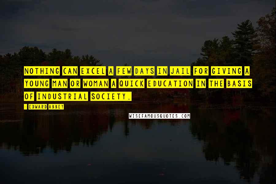 Edward Abbey Quotes: Nothing can excel a few days in jail for giving a young man or woman a quick education in the basis of industrial society.