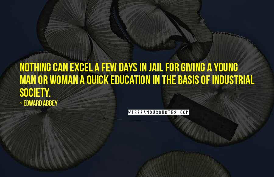 Edward Abbey Quotes: Nothing can excel a few days in jail for giving a young man or woman a quick education in the basis of industrial society.