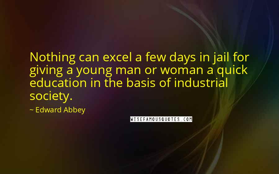 Edward Abbey Quotes: Nothing can excel a few days in jail for giving a young man or woman a quick education in the basis of industrial society.