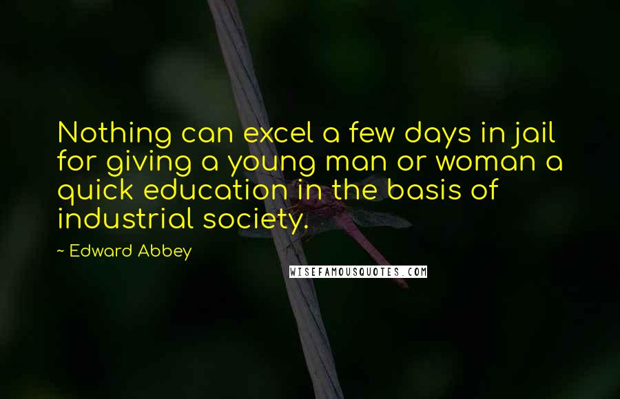 Edward Abbey Quotes: Nothing can excel a few days in jail for giving a young man or woman a quick education in the basis of industrial society.