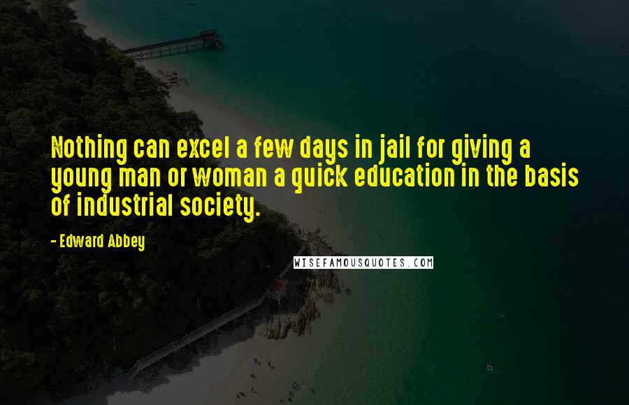 Edward Abbey Quotes: Nothing can excel a few days in jail for giving a young man or woman a quick education in the basis of industrial society.