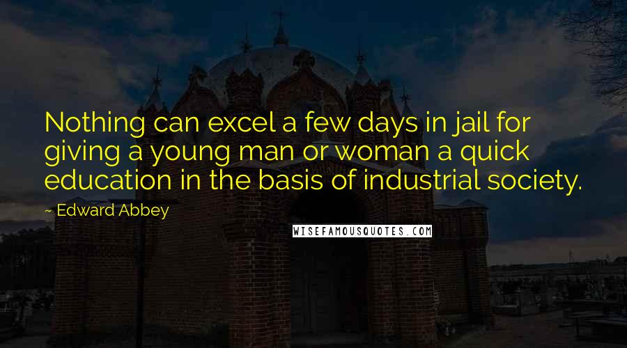 Edward Abbey Quotes: Nothing can excel a few days in jail for giving a young man or woman a quick education in the basis of industrial society.