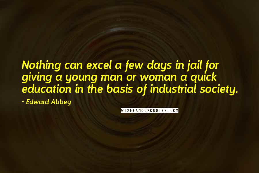 Edward Abbey Quotes: Nothing can excel a few days in jail for giving a young man or woman a quick education in the basis of industrial society.