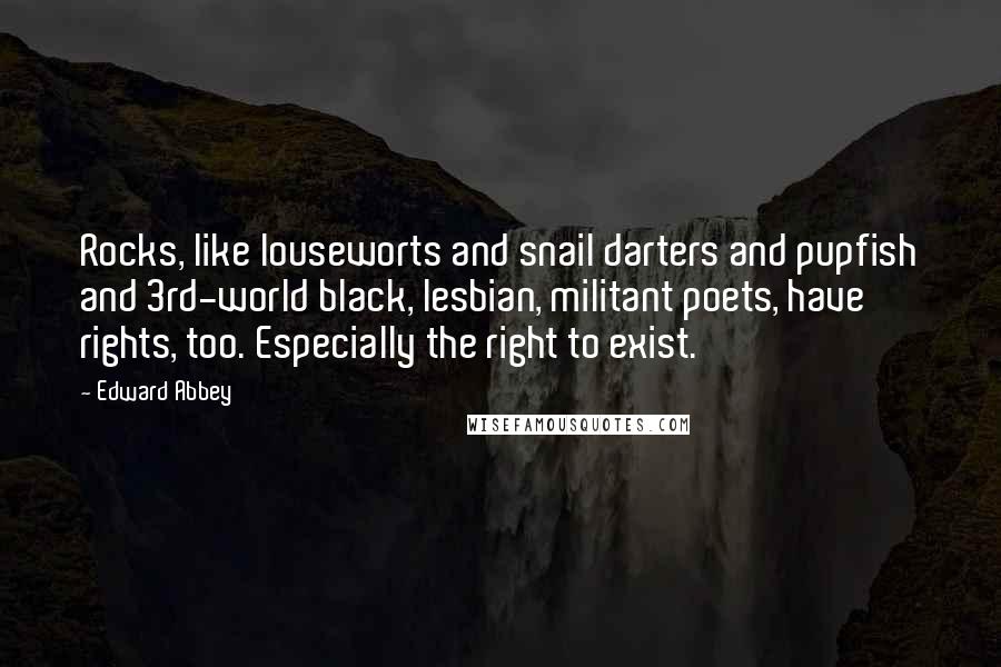 Edward Abbey Quotes: Rocks, like louseworts and snail darters and pupfish and 3rd-world black, lesbian, militant poets, have rights, too. Especially the right to exist.