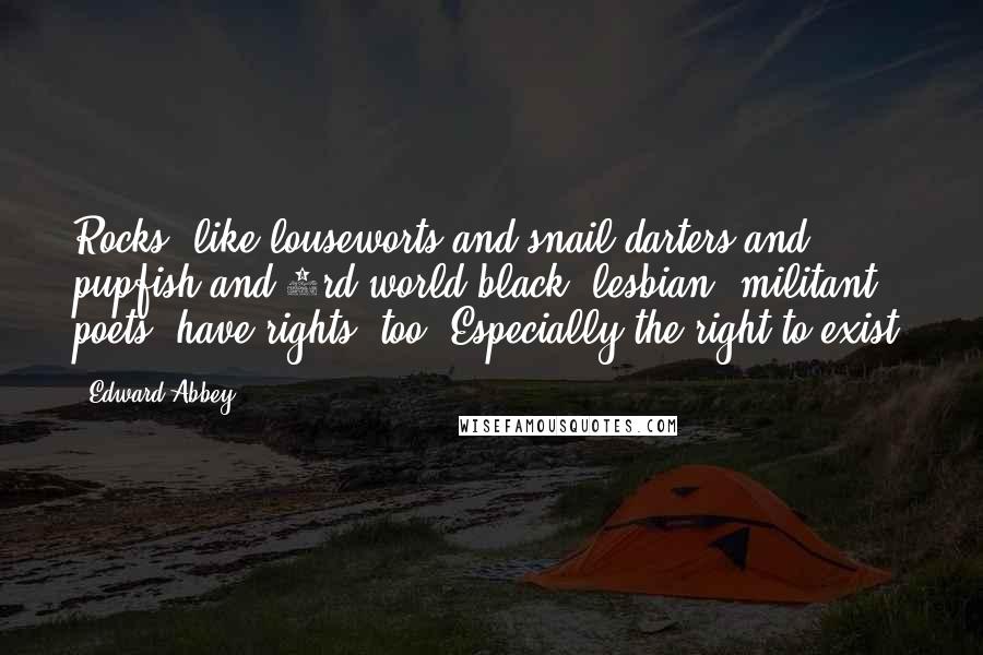 Edward Abbey Quotes: Rocks, like louseworts and snail darters and pupfish and 3rd-world black, lesbian, militant poets, have rights, too. Especially the right to exist.